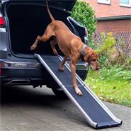 26916-1-foldable-car-ramp-for-dogs-aluminium.jpg