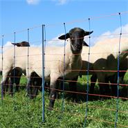 Sheep Combo Netting 50m x 90cm, AKO TitanNet Premium, 14 Posts, 1 Spike, Blue-Orange, Electric Fence
