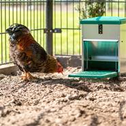 Feedomatic Poultry Feeder with footboard (5Kg)