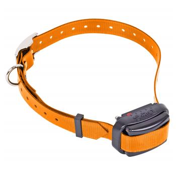 24345-1-receiver-collar-Dog-Trace-professional-mini.jpg