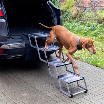 26912-1-4-step-folding-stairs-for-dogs-car-ramp.jpg