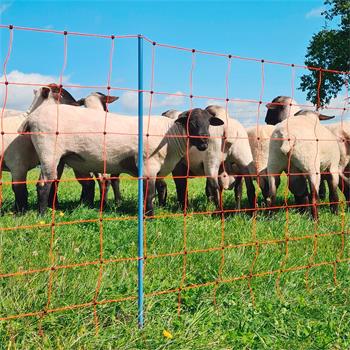 Sheep Netting 50m x 108cm, AKO OviNet Premium, 14 Posts, 2 Spikes, Orange, Electric Fence
