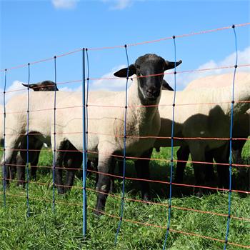 50m AKO TitanNet Premium Sheep Netting, 108cm, 14 Posts, 2 Spikes, Blue-Orange