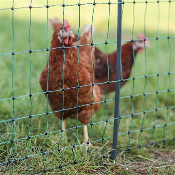 Poultry Netting 50m x 106cm, AKO PoultryNet Premium, 15 Posts, 2 Spikes, Chicken Net, Electric