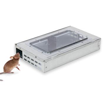 Mouse Live Trap, Metal, with Window