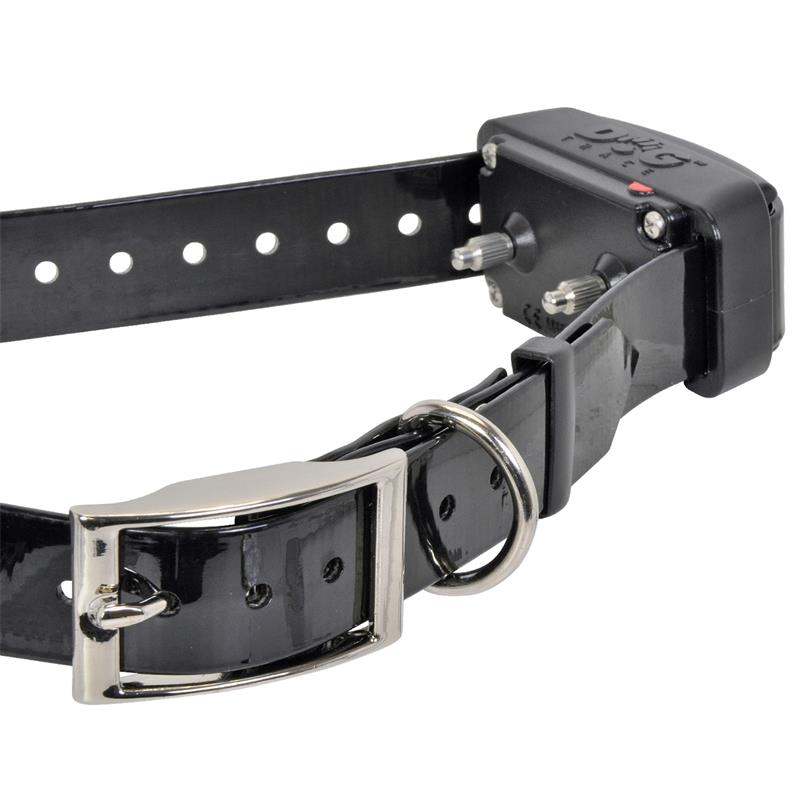 24335-6-dogtrace-d-control-professional-replacement-collar.jpg