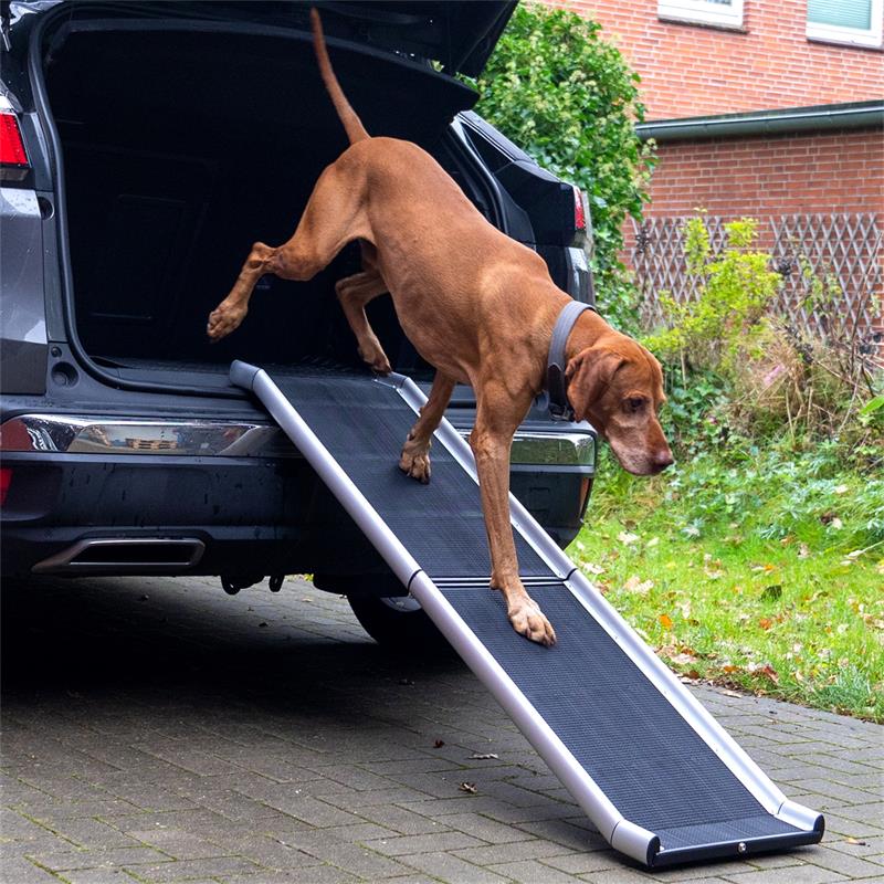 https://media.electric-fence.co.uk/en/article-images/shop800px/26916-1-foldable-car-ramp-for-dogs-aluminium.jpg