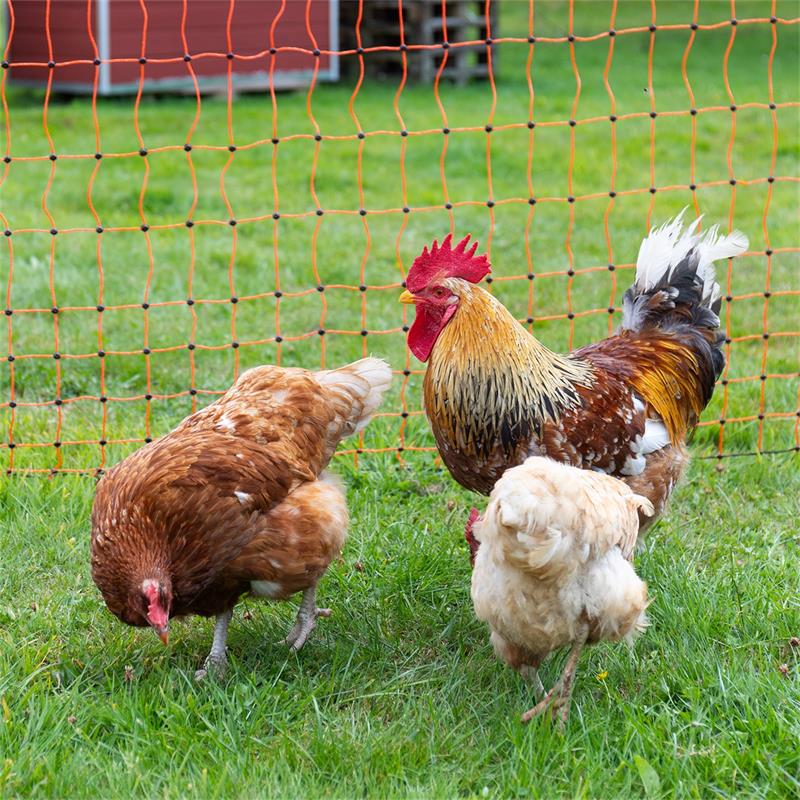 29476-5-voss.farming-farmnet-plus-premium-poultry-fence-netting-electric-50m-112cm-orange.jpg
