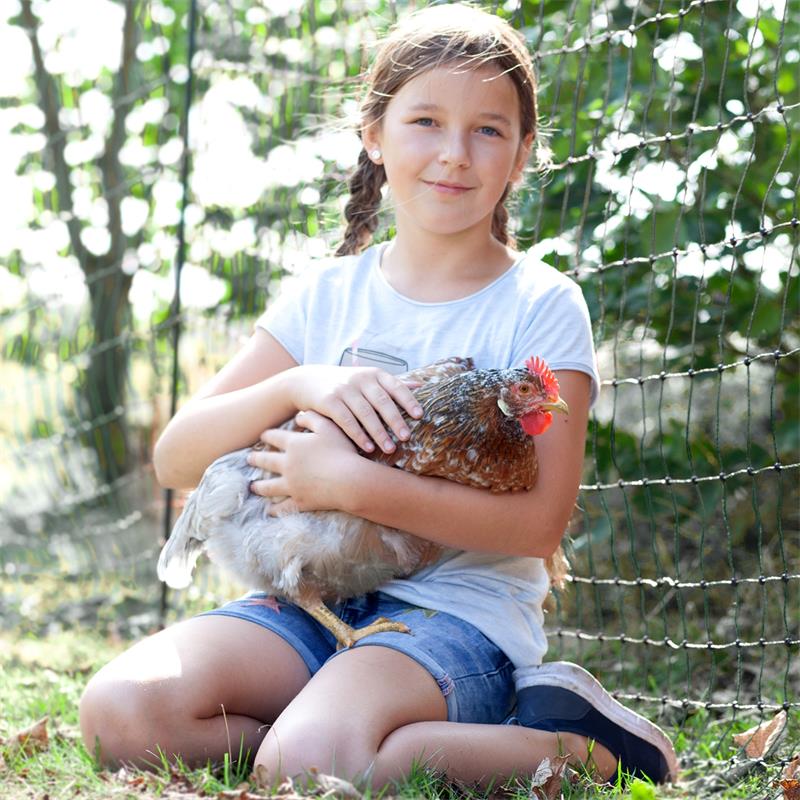 29494-16-voss.farming-farmnet-premium-poultry-fence-netting-electric-50m-112cm-green.jpg