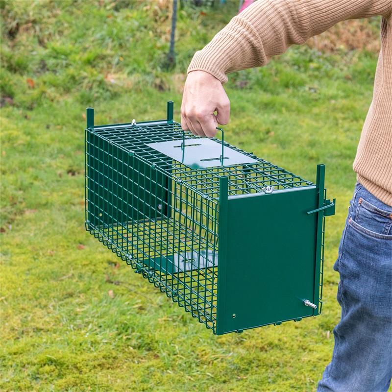 Live Cage Trap for Small Animals, with Trap Doors, 60 x 20 x 20 cm