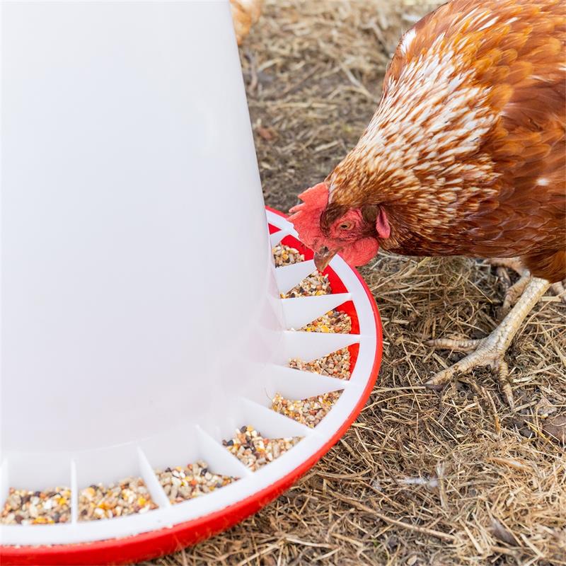 560010-12-poultry-feeder-with-lid-pp-red-white.jpg