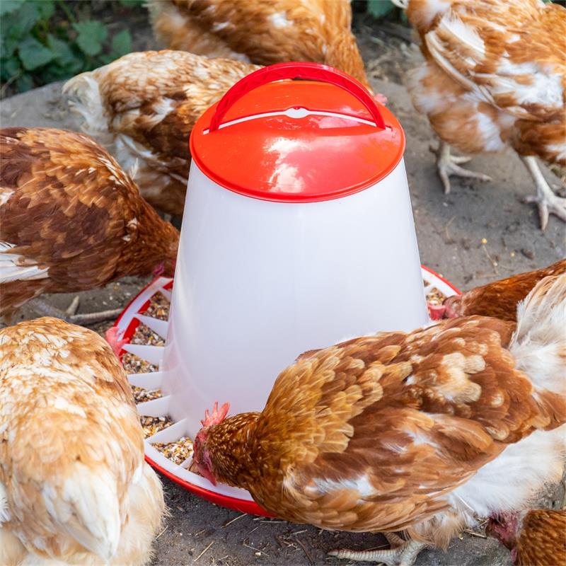 560010-16-poultry-feeder-with-lid-pp-red-white.jpg
