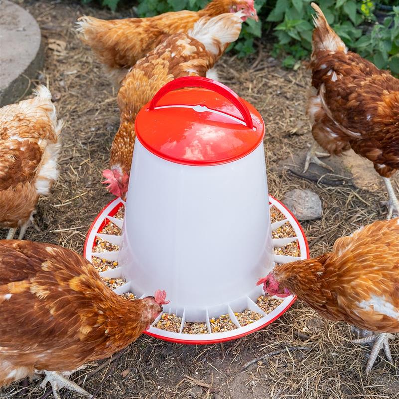 560010-19-poultry-feeder-with-lid-pp-red-white.jpg