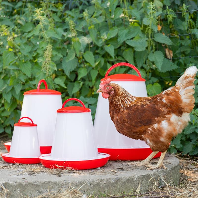 560010-4-poultry-feeder-with-lid-pp-red-white.jpg