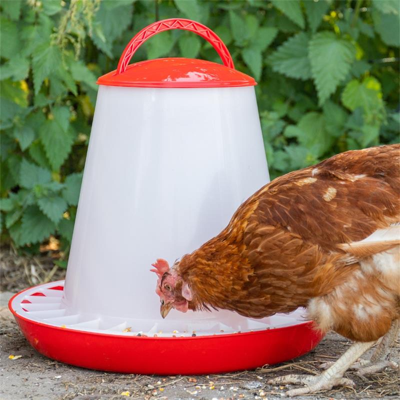 560010-7-poultry-feeder-with-lid-pp-red-white.jpg