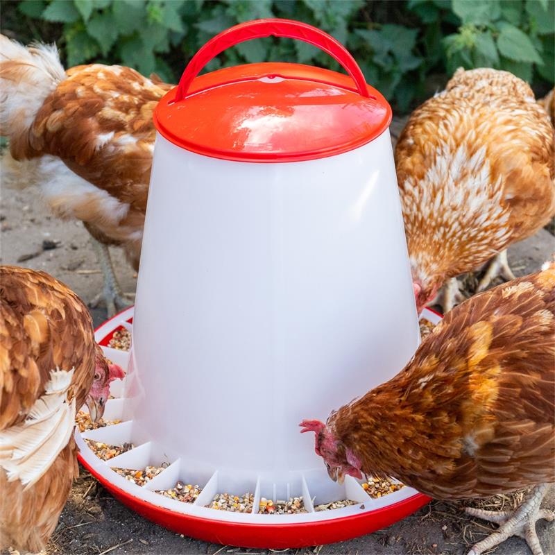 560010-9-poultry-feeder-with-lid-pp-red-white.jpg