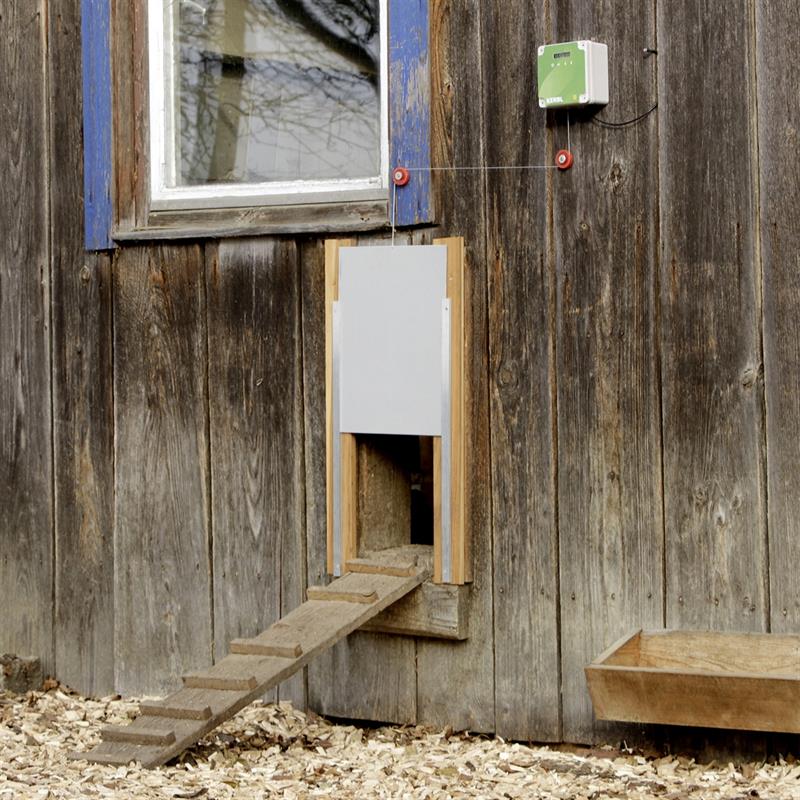 automatic chicken coop door design