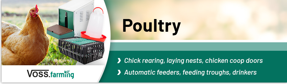 for Poultry