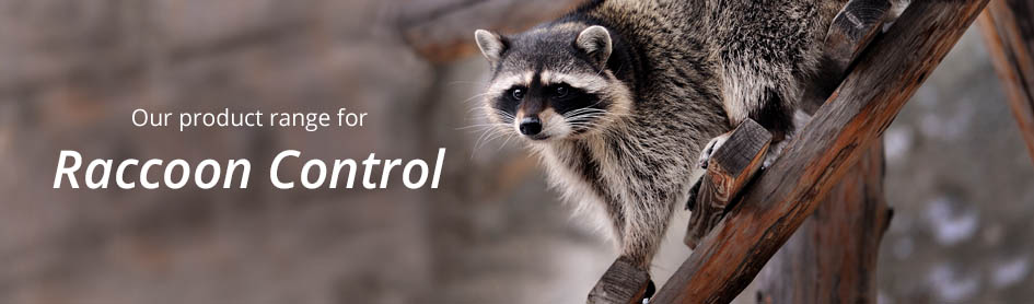 Raccoon Repellers & Deterrents