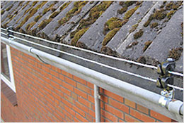 Marten control – the insulator is quick and simple to install.