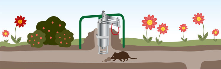https://media.electric-fence.co.uk/en/images/Mole-and-vole-control-traps.jpg