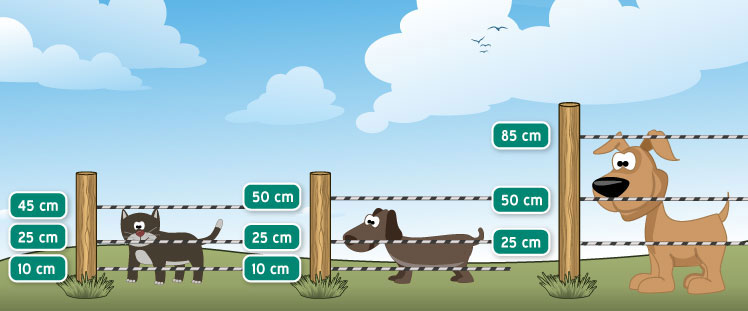 Fence height suitable for dogs and cats.